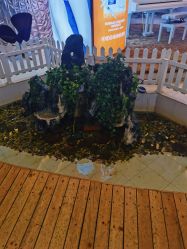 -安徽合肥韩美整形外科医院