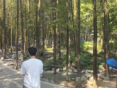 -山王坪喀斯特国家生态公园