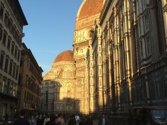 -圣母百花大教堂穹顶