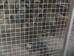 -北戴河集发农业梦想王国