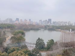 -耐味林月子会所(黄兴公园店)