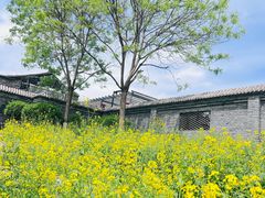 -三里河公园