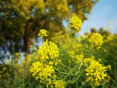 -上海浦东新区乐乡公墓