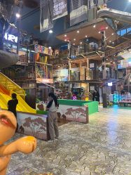 -卡通尼·Safari非洲探索乐园·生日会(金桥国际商业广场店)