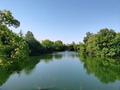 -桃花岛景观公园
