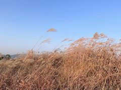 -良渚古城遗址公园