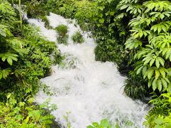 -龙苍沟森林公园