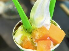 -Salud撒露欧洲冻酸奶(蓝色港湾店)