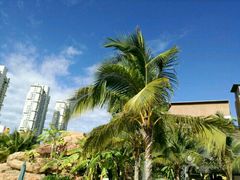 -亚马逊丛林水乐园