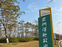 -芒洲湿地公园