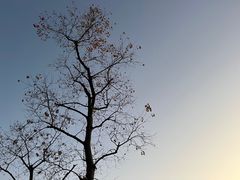-长广溪湿地公园
