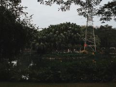 -晓港公园