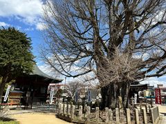 -医王山·飞騨国分寺