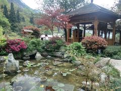 -黄山温泉国际旅游度假区