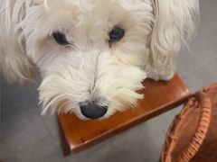 -堂瓦里·33年传统赣菜(第一街区店)