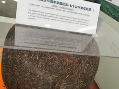 -中国茶叶博物馆(双峰馆区)