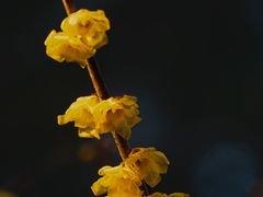 -颐和园