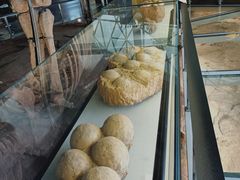 -湖南省地质博物馆