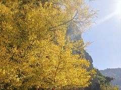 -大慈岩风景区