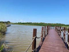 -东滩湿地公园观海楼餐厅