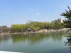 -大兴滨河森林公园