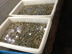 水产区-老虎滩大连海鲜烧烤(建邺云锦路总店)