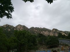 -凤凰岭蒙古包风味餐厅