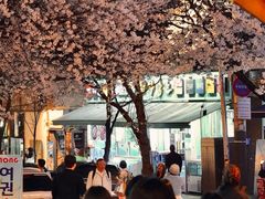 -乐天免税店(明洞店)