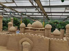 -南宫五洲植物乐园