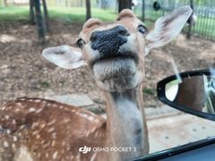 -南京金牛湖风景区