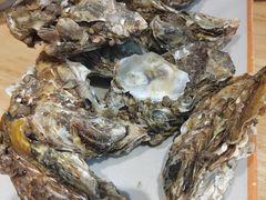 营养清焖生蚝-蚝当家·海鲜龙虾烧烤(文二路原开蚝屋店)