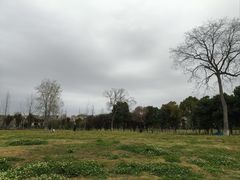 -两河城市森林公园