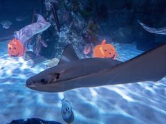 -沈阳海洋探索中心