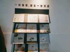 -喜茶(佛山顺德容桂天佑城店)