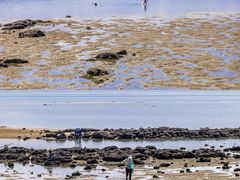 -北海金海湾红树林生态旅游区