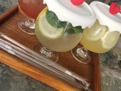 -柴犬高等学院·狗咖·柴犬售卖·宠物训练