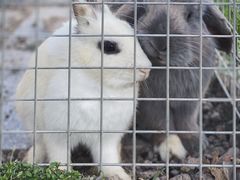 -美家乐农庄·露营·团建(大治路店)