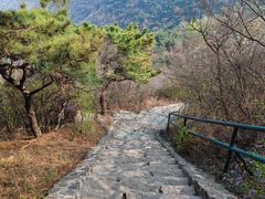 -香山公园