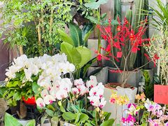 -循礼门鲜花花市(武汉循礼门店)