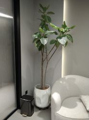 -颜蕾医美·黄金微针·水光·玻尿酸·超声炮·抗衰中心