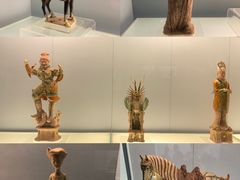 -上海博物馆(人民广场馆)