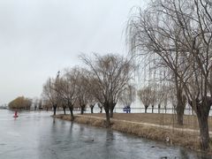 -白洋淀景区