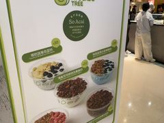 -油梨树AVOCADO TREE(嘉里中心店)
