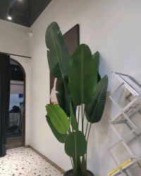 -A梦造型