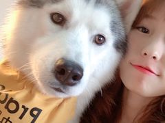 -Husky Go! 哈士奇体验馆·宠物咖啡厅狗咖