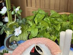 -番食园鲜食火锅(高新店)