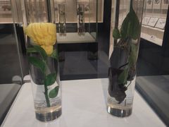 -广东中医药博物馆