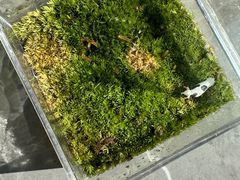 -湖南省地质博物馆