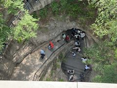 -石家庄市植物园