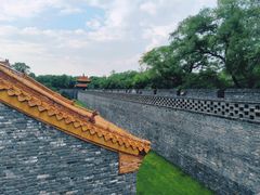 -北陵公园